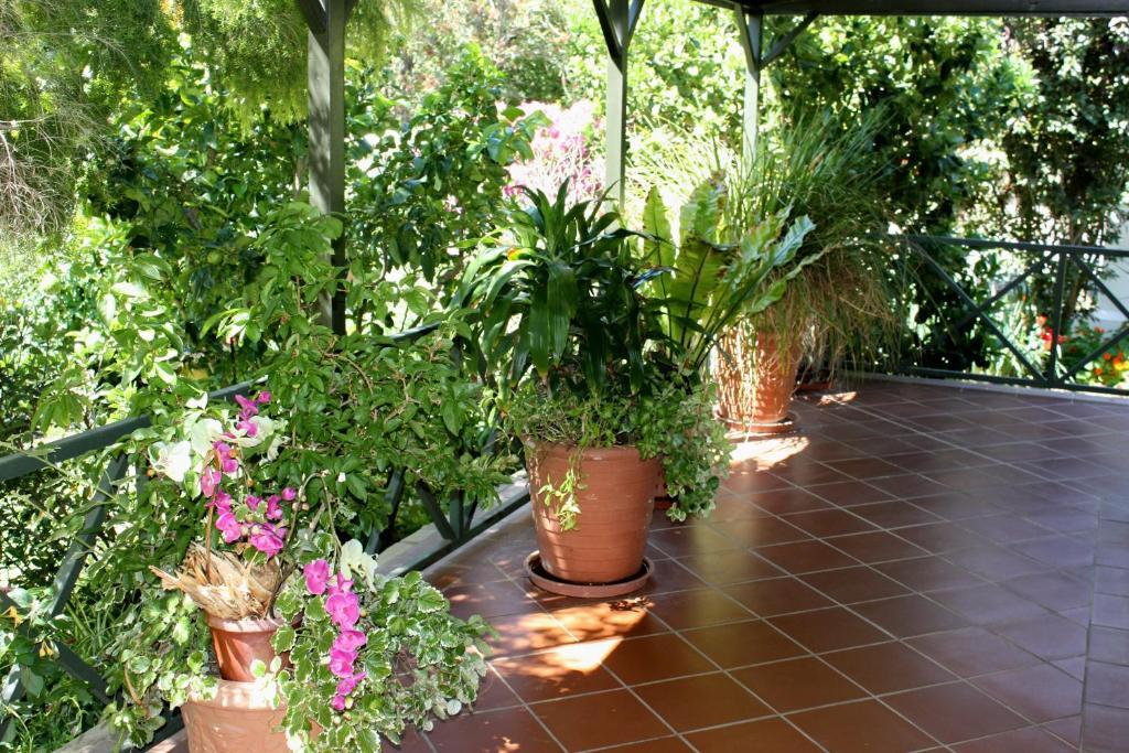 Somerset Lodge Montagu Luaran gambar
