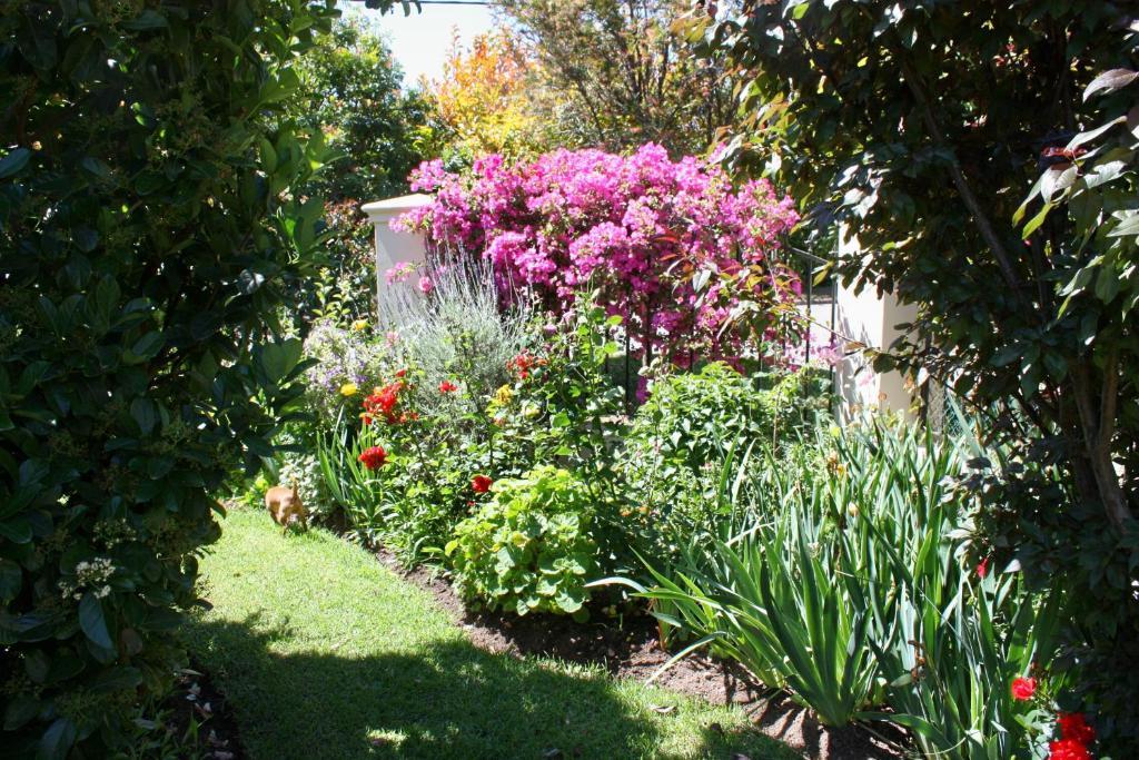 Somerset Lodge Montagu Luaran gambar