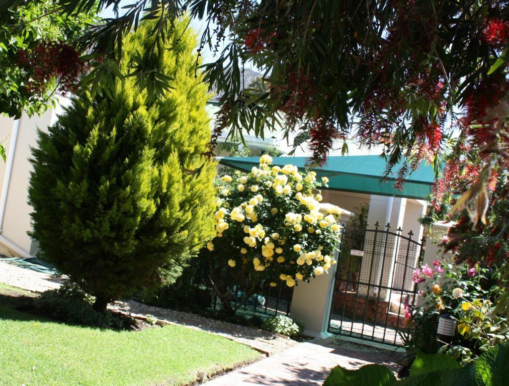 Somerset Lodge Montagu Luaran gambar